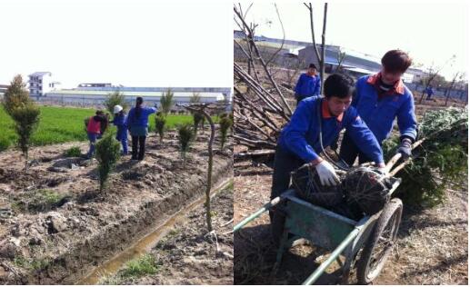 Let's create green in March, planting trees depends on everyone
