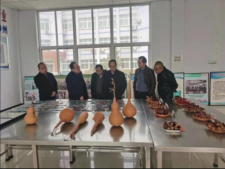 The Science and Technology Volunteer Service Team of the Chinese Vacuum Society carries out volunteer service activities for space breeding technology docking
